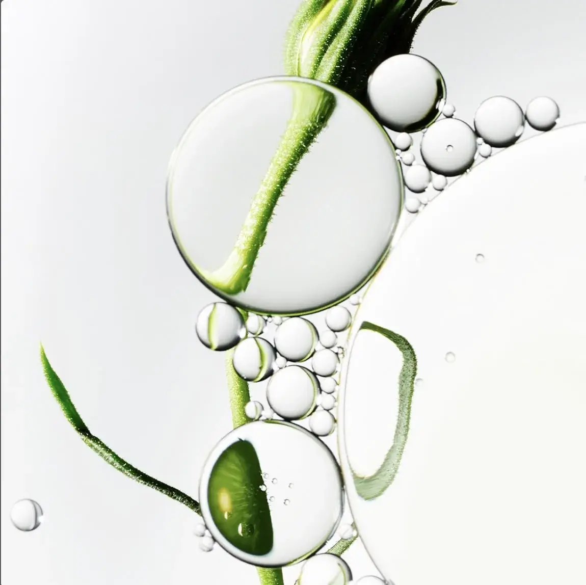 Aura Ingredients